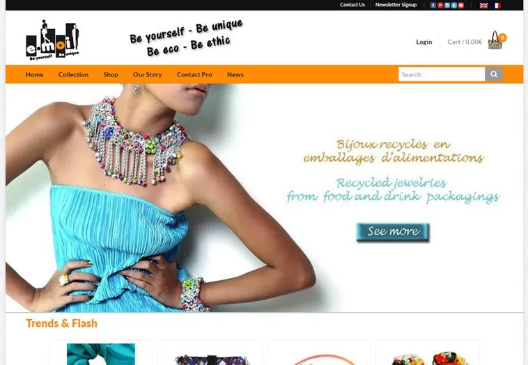 Website work for Émoi France
