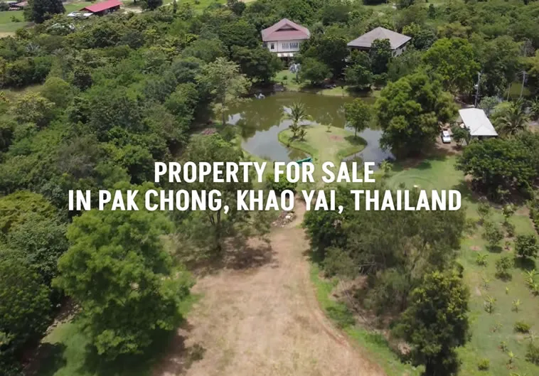 Website work for Khao Yai Land for Sale